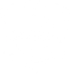 VfL Sparkassen Stars Bochum